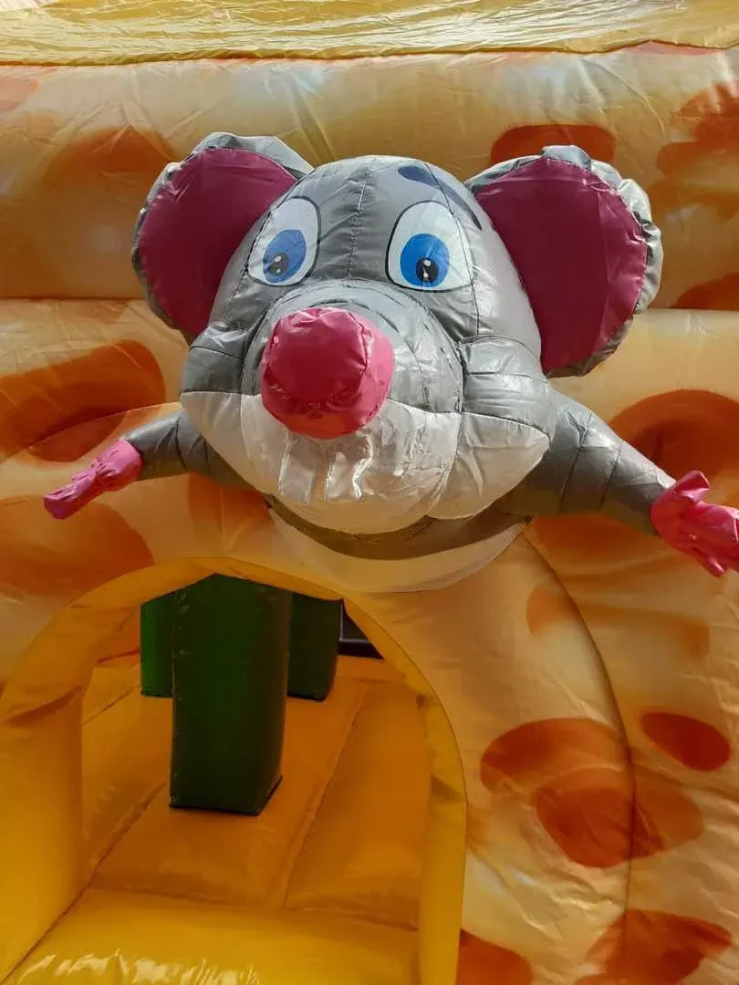 Maus: graue Maus über dem Eingang