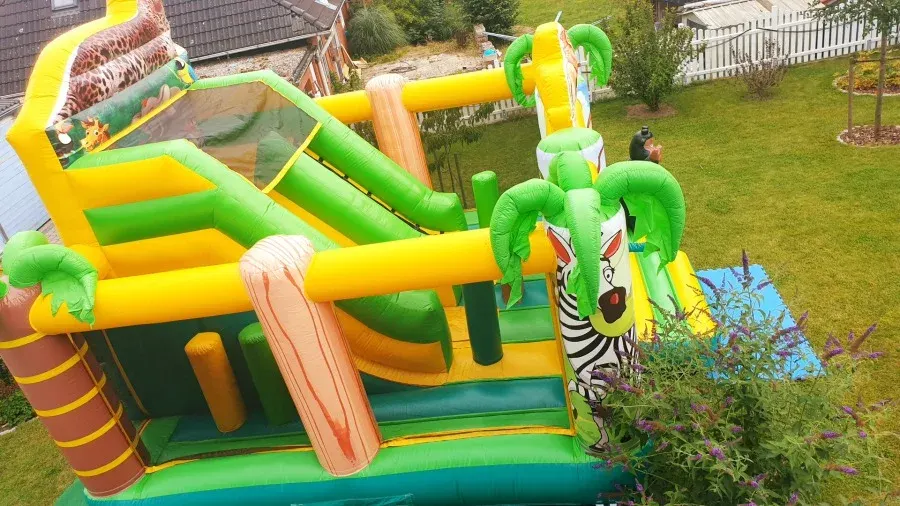 Safari von der Seite mit Zebra und Palmen