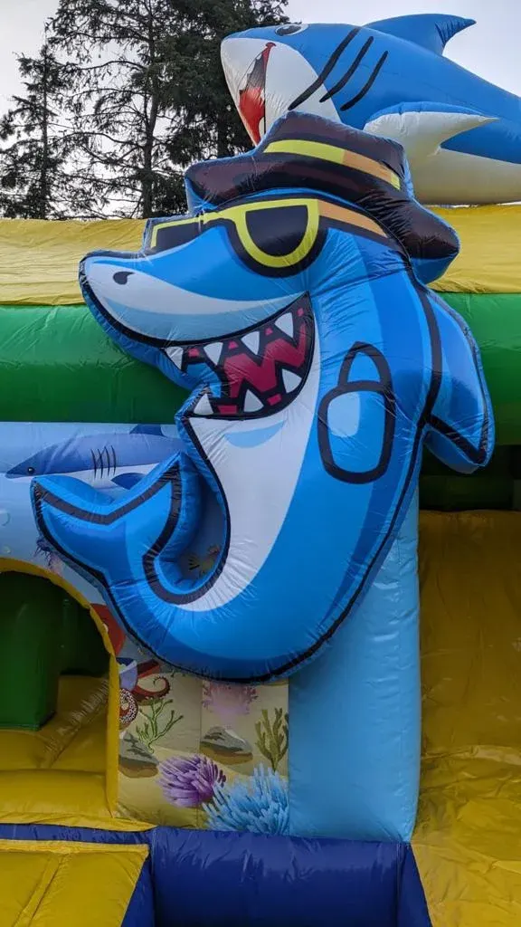 Seaworld: Hai mit Sonnenbrille aus der Nähe
